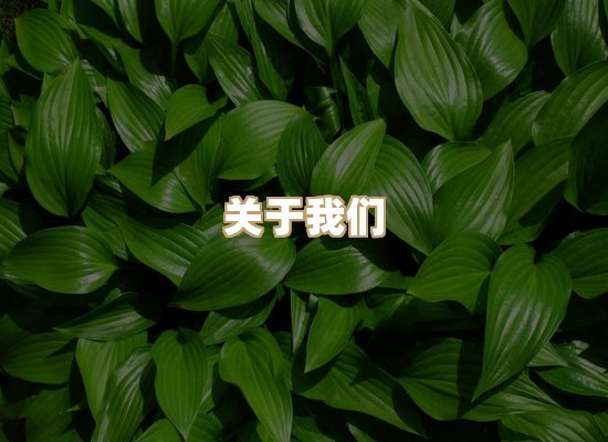 关于华净工业除尘方案网